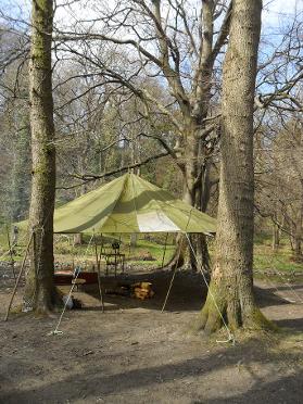 Bushcraft camp between the beech trees