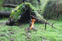 nattural bushcraft shelter